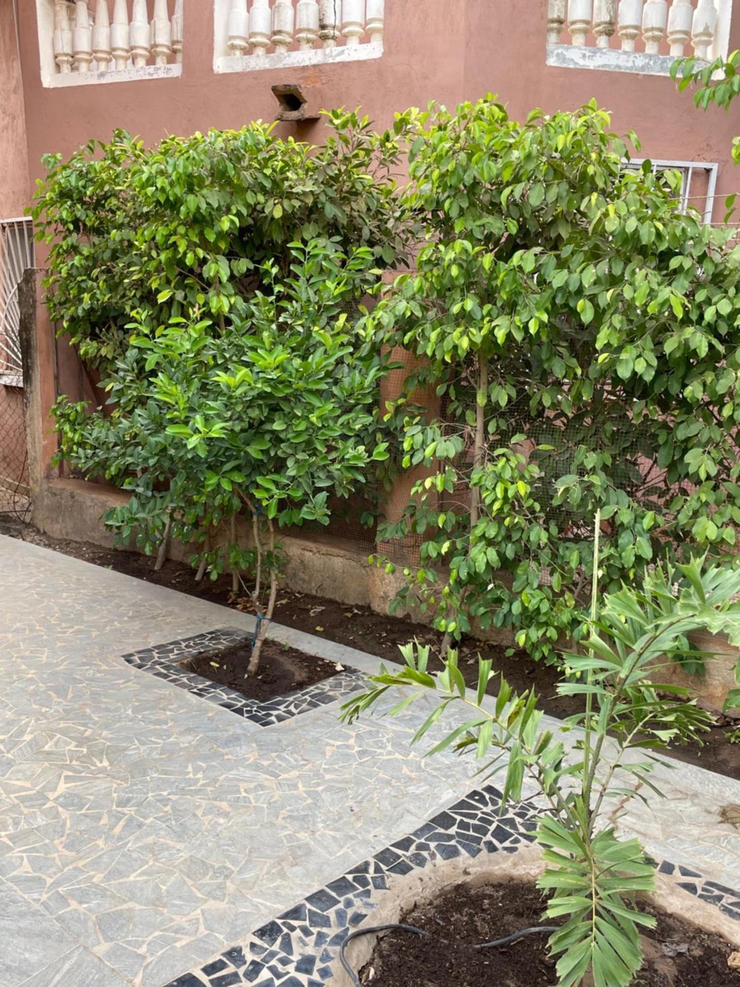 Villa18 Safari Village Saly المظهر الخارجي الصورة